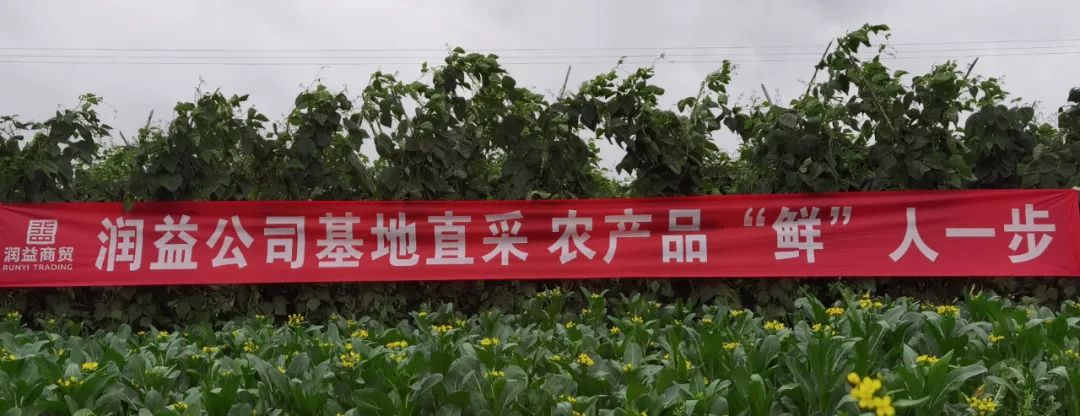 微信图片_20220317112439