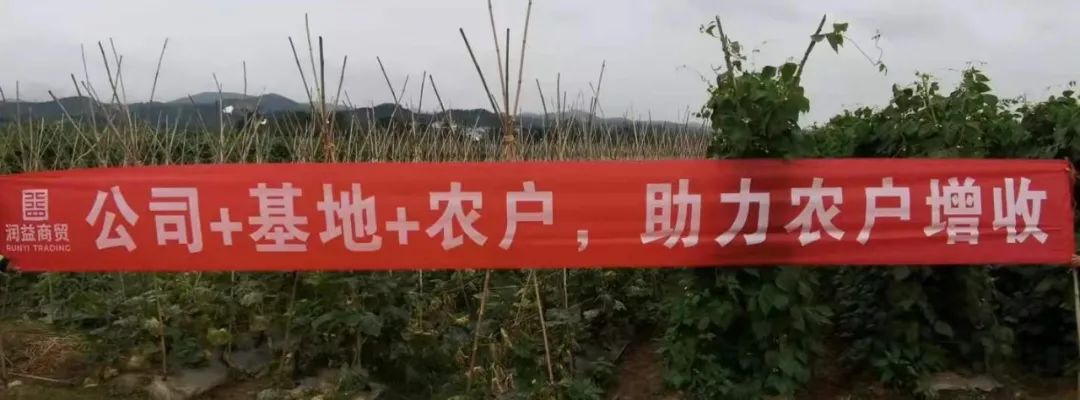 微信图片_20220317112443