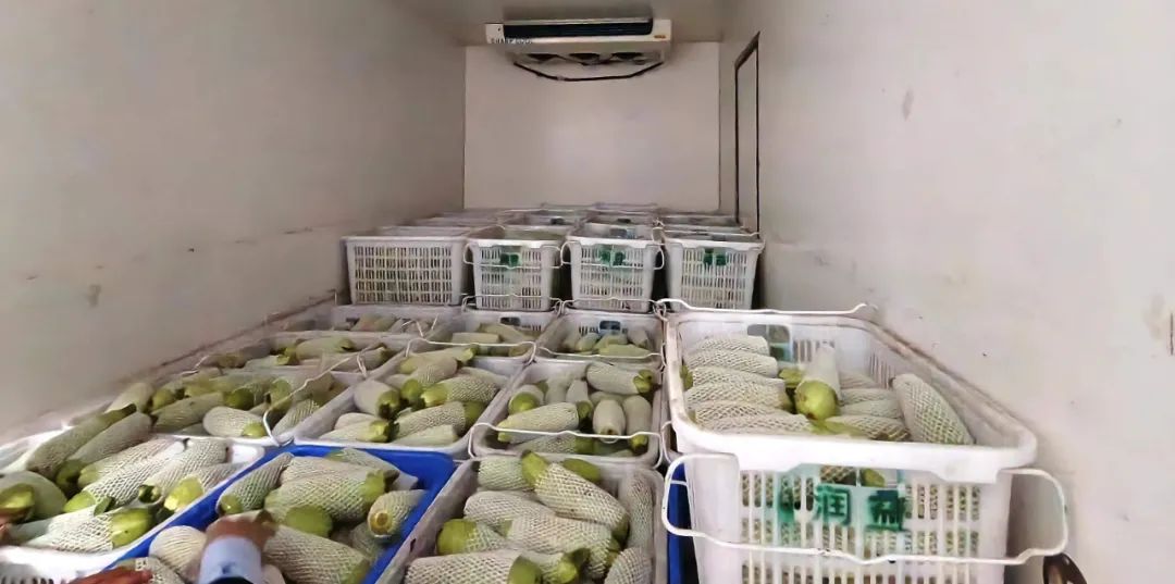 微信图片_20220317112453