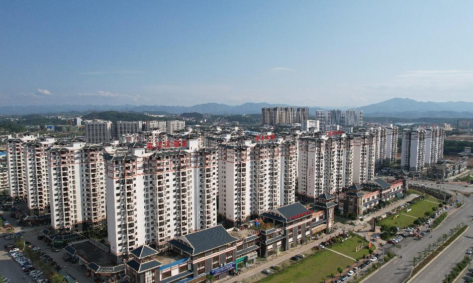 锦旗5