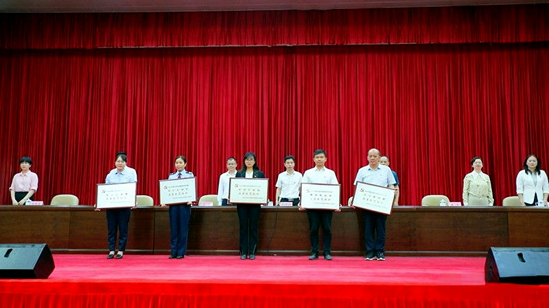 五星级党组织2