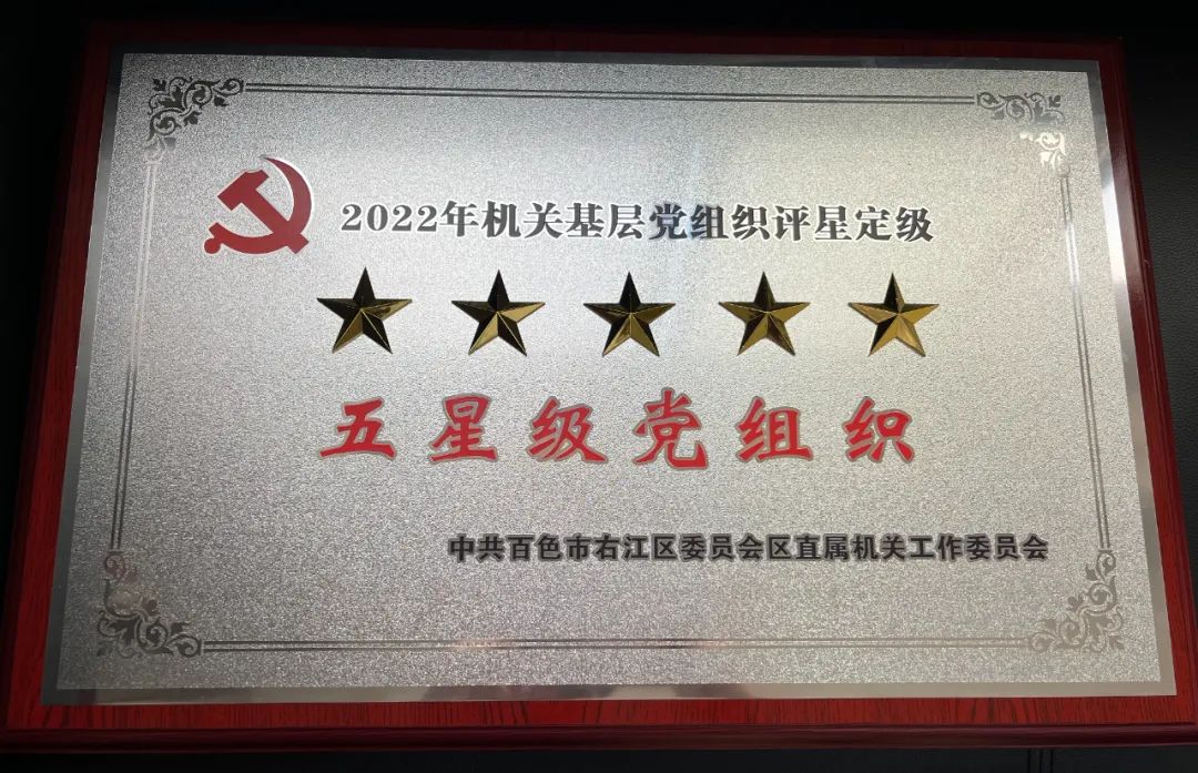 五星级党组织3