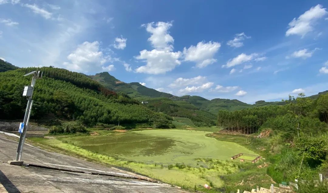 村集体经济2