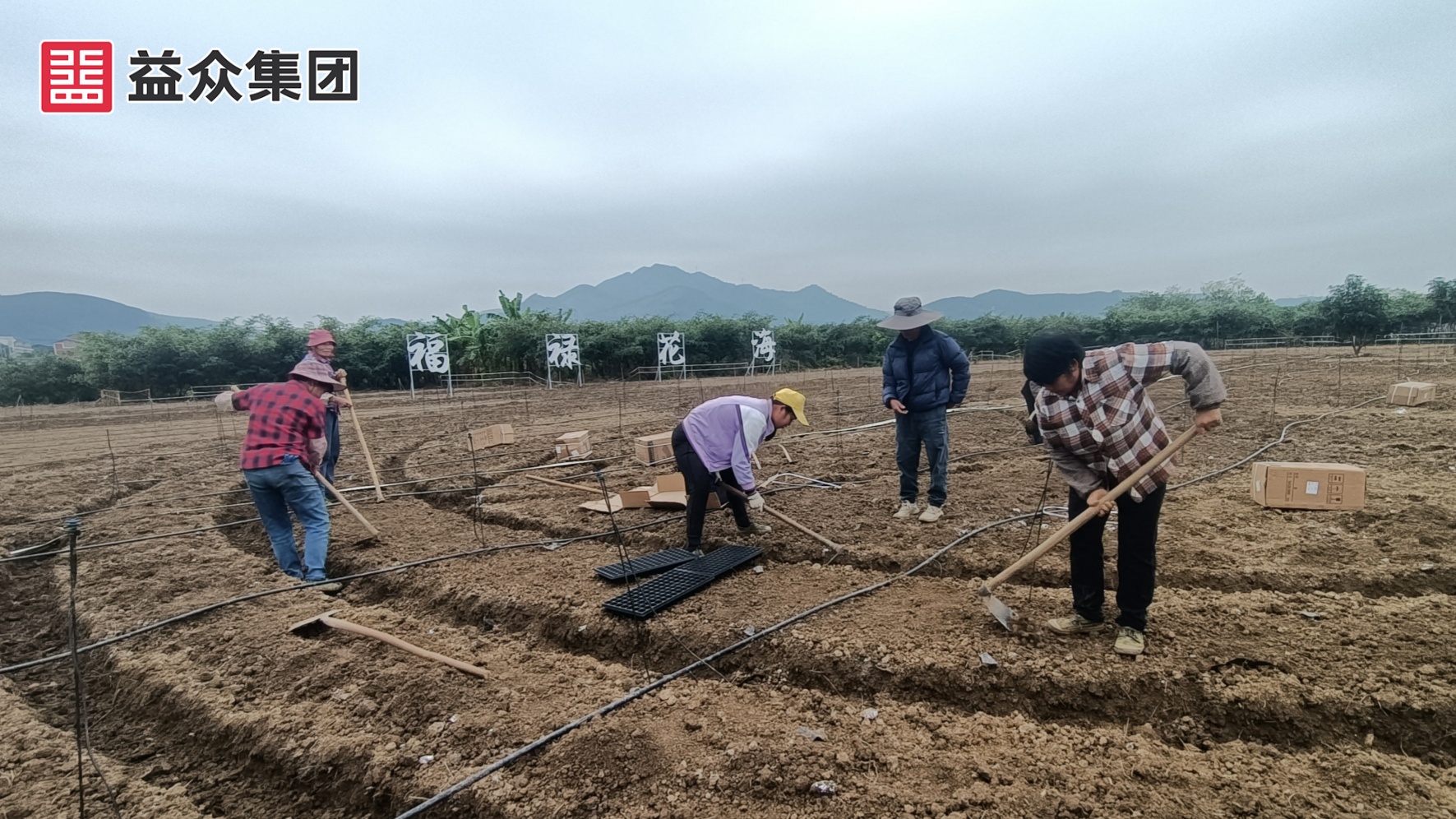 福禄花海-3_副本