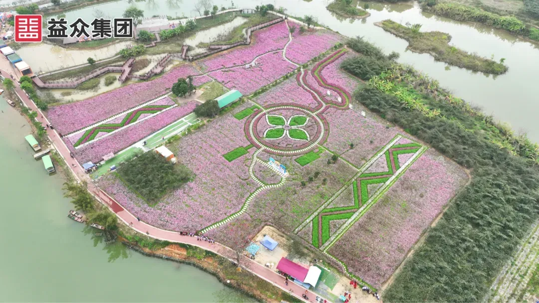 福禄花海1 福禄花海1