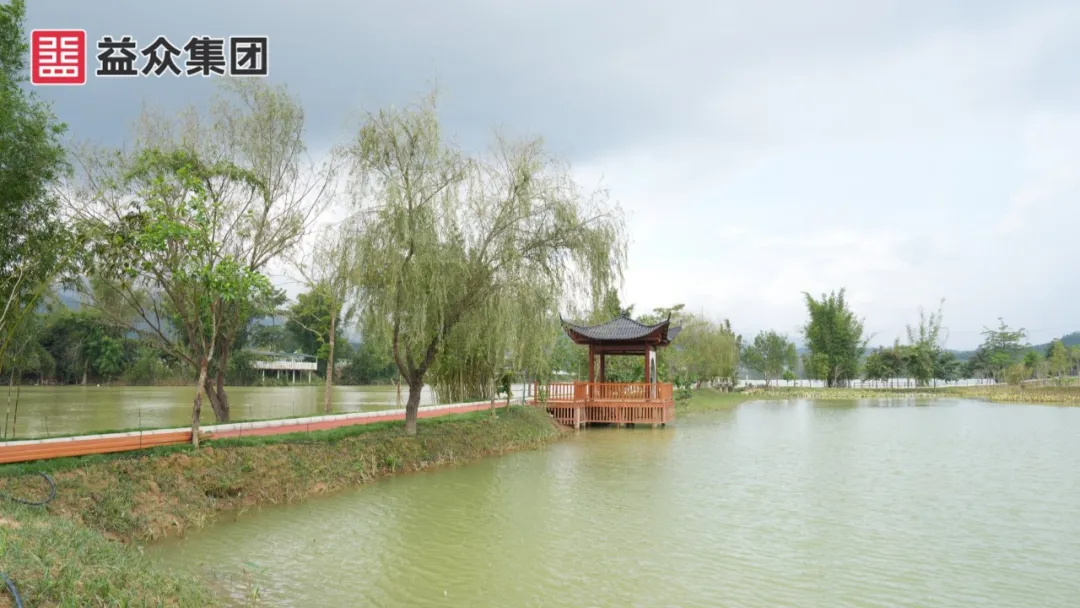 生态步道2 生态步道2